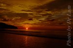 DSCF8670