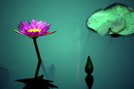 WETLAND PARK001