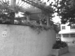 �Ϥ�0016