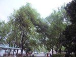 P1050587