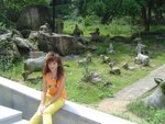 DSC04181