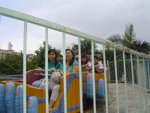 DSC04241