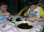 20090424 008