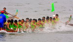 DBraces_28