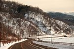 IMG_6258