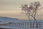 IMG_6284