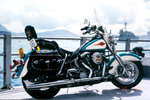 

The Brand New Harley at HK Star Ferry