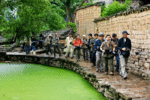 

Group-Walk