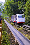 
Sightseeing Tram
