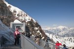 _MG_7729