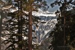 _MG_7549