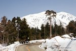 _MG_7555