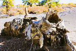 Scenes_05