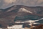 IMG_4293