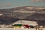 IMG_4313