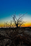 Mongo Sunsets_20