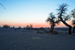 Mongo Sunsets_1
