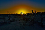 
Mongo Sunsets_11
