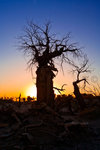 
Mongo Sunsets_12