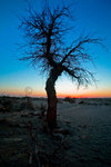 
Mongo Sunsets_14