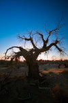 
Mongo Sunsets_10
