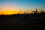 Mongo Sunsets_3