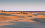 Camel Walk_15