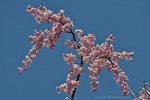 IMG_2840