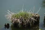 IMG_2859