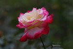 HQ0F3268
