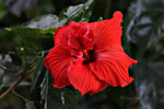 HQ0F3301