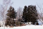 IMG_6239