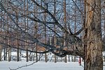 IMG_6583