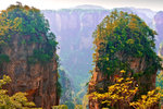 Rock-Forest11