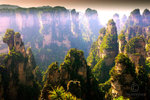 Rock-Forest13