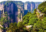 Rock-Forest14