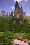 

rock-forest 16