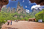 

rock-forest 17