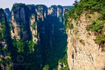 Rock-Forest8