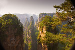 Rock-Forest9