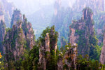 Rock Garden