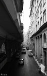 IMG_2494