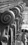 IMG_2519