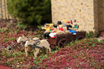 IMG_8537