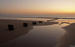 IMG_9579a