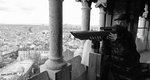 IMG_0483