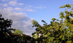 P5290011