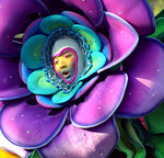 DSCF5481