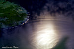 DSCF2893