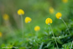 DSCF2987